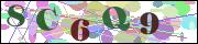 Spam bot protection (CAPTCHA)
