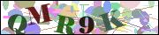 Spam bot protection (CAPTCHA)
