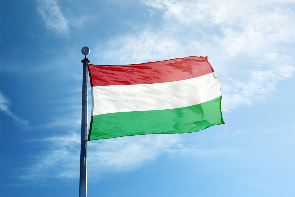 Translation and Interpretation into Hungarian